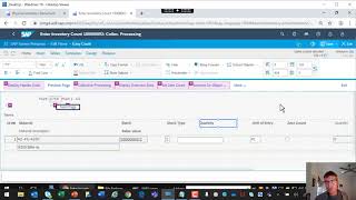 SAP Screen Persona Demonstration [upl. by Yzus]