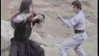 Shaolin Challenges Ninja  Gordon Liu vs japanese crab technique [upl. by Sayette147]