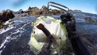 Free diving the Wairarapa coast New Zealand [upl. by Ainoda858]