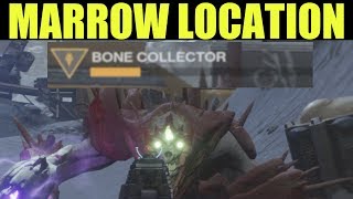 Bone Collectors Marrow Acquired Destiny 2 Bone Collectors Marrow Location Symphony of Death [upl. by Noynek]