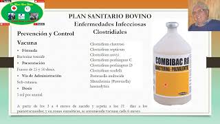 Plan Sanitario Bovino para Enfermedades Infecciosas Enfermedades Clostridiales [upl. by Fronnia]