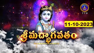 శ్రీమద్భాగవతం  Srimad Bhagavatham  Kuppa Viswanadha Sarma  Tirumala  11102023  SVBC TTD [upl. by Ashely944]