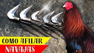 Como se afilan las navajas para gallos [upl. by Schwerin]