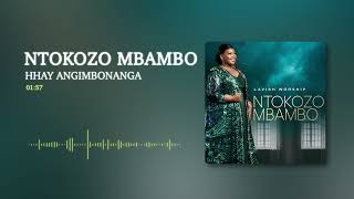 Ntokozo Mbambo  Hhay Angimbonanga Visualizer [upl. by Prudhoe527]