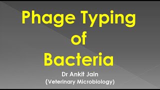 Phage Typing of Bacteria [upl. by Aylatan]