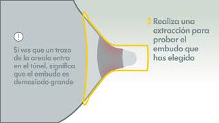 Embudo PersonalFit Medela para Extactor de leche  Como medir pezón para copa [upl. by Ffirahs]