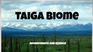 Taiga Biome Facts [upl. by Igiul54]