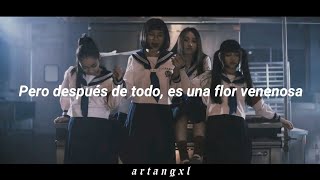 ATARASHII GAKKO  dokubana Official Video Español [upl. by Trinetta680]