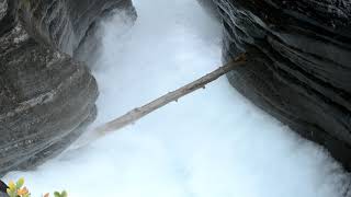 Mistaya Canyon Banff Narional Park hike walk [upl. by Akkimat645]