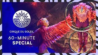 REACHING NEW HEIGHTS  60 MINUTE SPECIAL 15  Cirque du Soleil  LUZIA CORTEO VOLTA [upl. by Auka429]