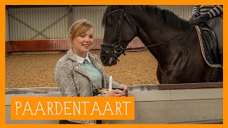 Paardentaart  PaardenpraatTV [upl. by Maudie]