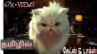 Cats and dogsTAMIL DUBBED funny [upl. by Joash]