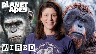 Every Ape in Planet of the Apes Explained  WIRED [upl. by Roshan]