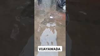 Vijayawada floods vijayawada youtubeshorts trending viralvideo songs youtube telugu comedy [upl. by Nylannej]