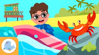 Vocabulario de la PLAYA para niños 🏖️​🌊​🐚​ Recopilación [upl. by Andre]