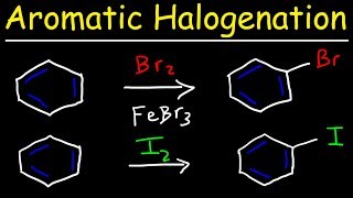 Aromatic Halogenation Mechanism  Chlorination Iodination amp Bromination of Benzene [upl. by Brinson630]