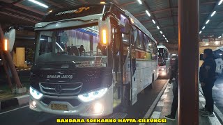 Naik Bus Sinar Jaya Dari Bandara Soekarno Hatta Ke Cileungsi [upl. by Joao]