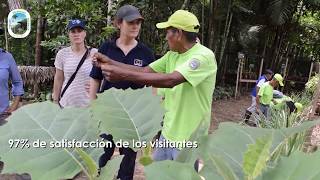 ECOTURISMO  RENDICIÓN DE CUENTAS PARQUES NACIONALES NATURALES 2018 [upl. by Mensch]