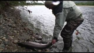 2 Fly fishing big salmon in the Alta River How not to land a 22 pound salmon Fly Fishing lessons [upl. by Rehpotsirc]