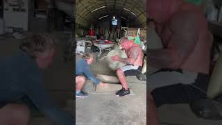 TOM STOLTMAN LIFTS WORLDS HEAVIEST ATLAS STONE 300KG  660LBS Shorts [upl. by Okoy378]