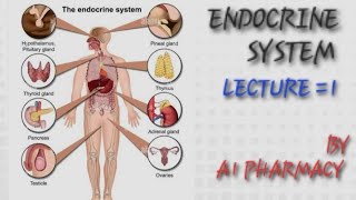 ENDOCRINE SYSTEMLECTURE 1 [upl. by Gnilrac]