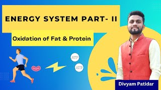 Energy System II Oxidation of Fat amp Protein  Aerobic Energy System  Exercise Physiology By Divyam [upl. by Niwle]