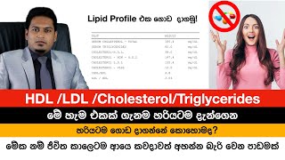 Cholesterol HDL LDL ගැන ඇත්ත දැනගෙන හිටියද Fat Metabolism By Nutritionist Hiroshan Jayaranga [upl. by Reider]