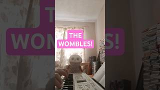 THE WOMBLES THEME MR OWLS FAVOURITE TUNE [upl. by Aeslahc155]