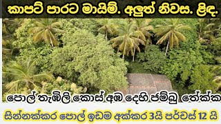 මෙන්න චාන්ස් එකක් මේ ගානට මේ වගේ ඉඩමක් අය හොයන්න බැරිවෙයි [upl. by Eduam]