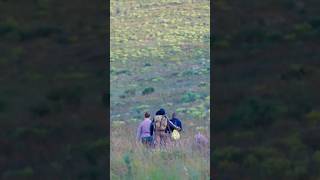 Finding the wonder of the Genadendal and its mountain visitoverberg tourism visittwk play [upl. by Aneerb]