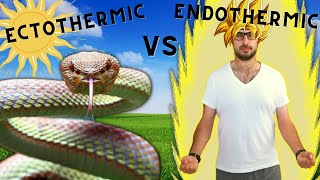 Endothermy vs Ectothermy [upl. by Ellga]