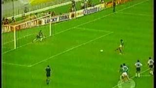 MEXICO VS ARGENTINA FINAL COPA AMERICA 1993 [upl. by Alitha160]