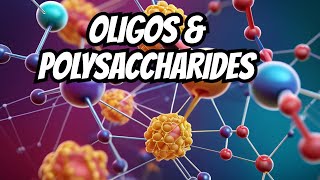 Chapter 1  Chemistry Of Carbohydrates Part4  Oligosaccharides and Polysaccharides  Video4 [upl. by Alvinia]