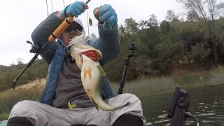 Strike King ￼burner spinner bait late summer bass bite ￼ [upl. by Nahsar319]