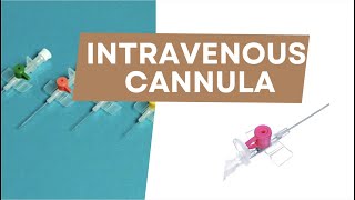 Intravenous cannula  Radiotherapy Edutech  Common terms in Oncology [upl. by Cyprio]