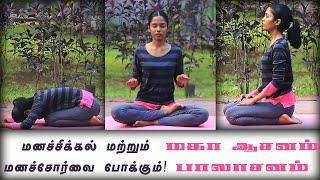 Benefits of balasana  பாலாசனம் செய்வதால் கிடைக்கும் நன்மைகள் [upl. by Roby]