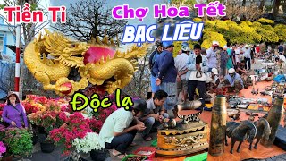 Chợ hoa tết BẠC LIÊU xuất hiện Mai hóa Rồng Chợ Đồ Cổ  Giá hoa Tết 2024 giảm sâu [upl. by Anaek]