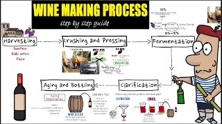 Wine making process step by step Detail guide of wine makingpreparation and making of wine [upl. by Gibeon622]