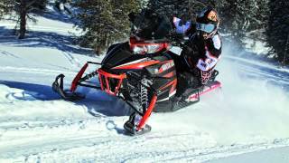 Which Snowmobile Ski Runner Should I Buy from Woodys [upl. by Bohannon]