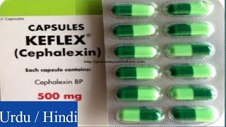 Keflex Cephalexin Capsules uses side effects and Warning [upl. by Solange]