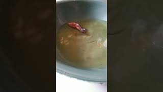 Mengecek sirop ikan cupang [upl. by Sirod]