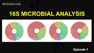 Metagenomic Sequence Classification wth KRAKEN  16s rna microbial analysis of nanopore data [upl. by Ainirtak975]