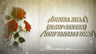 DINGRA KOLA SANTALI  SLOWREVERB SONG [upl. by Erhard]