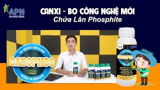 APN  CANXI BO CÔNG NGHỆ MỚI CHO CÂY SẦU RIÊNG  CABOPHOS CÓ CHỨA LÂN PHOSPHITE [upl. by Hannahc603]