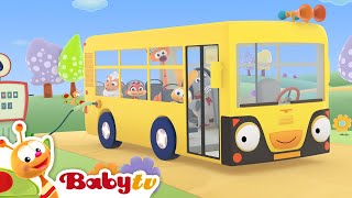 As Rodas do Autocarro 🚌  Canções amp Rimas  BabyTV Português [upl. by Connelley]