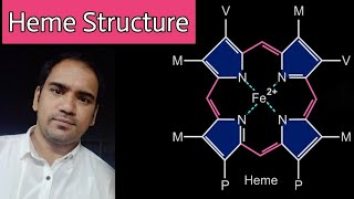 Heme  Structure  Porphyrin  types of porphyrins  bond between oxygen and iron [upl. by Acinnod]