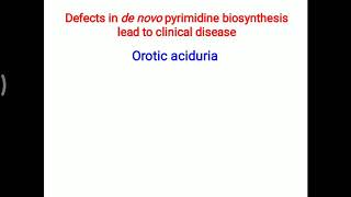 Orotic aciduria [upl. by Helbon]