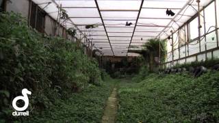 Durrell and the worlds rarest fruit bats [upl. by Fitting]