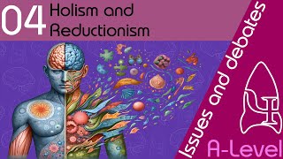 Holism and reductionism  Issues and debates ALevel Psychology [upl. by Meeks]