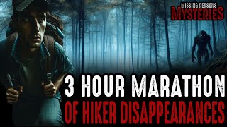 3 Hour National Park Disappearances MARATHON [upl. by Nolram248]